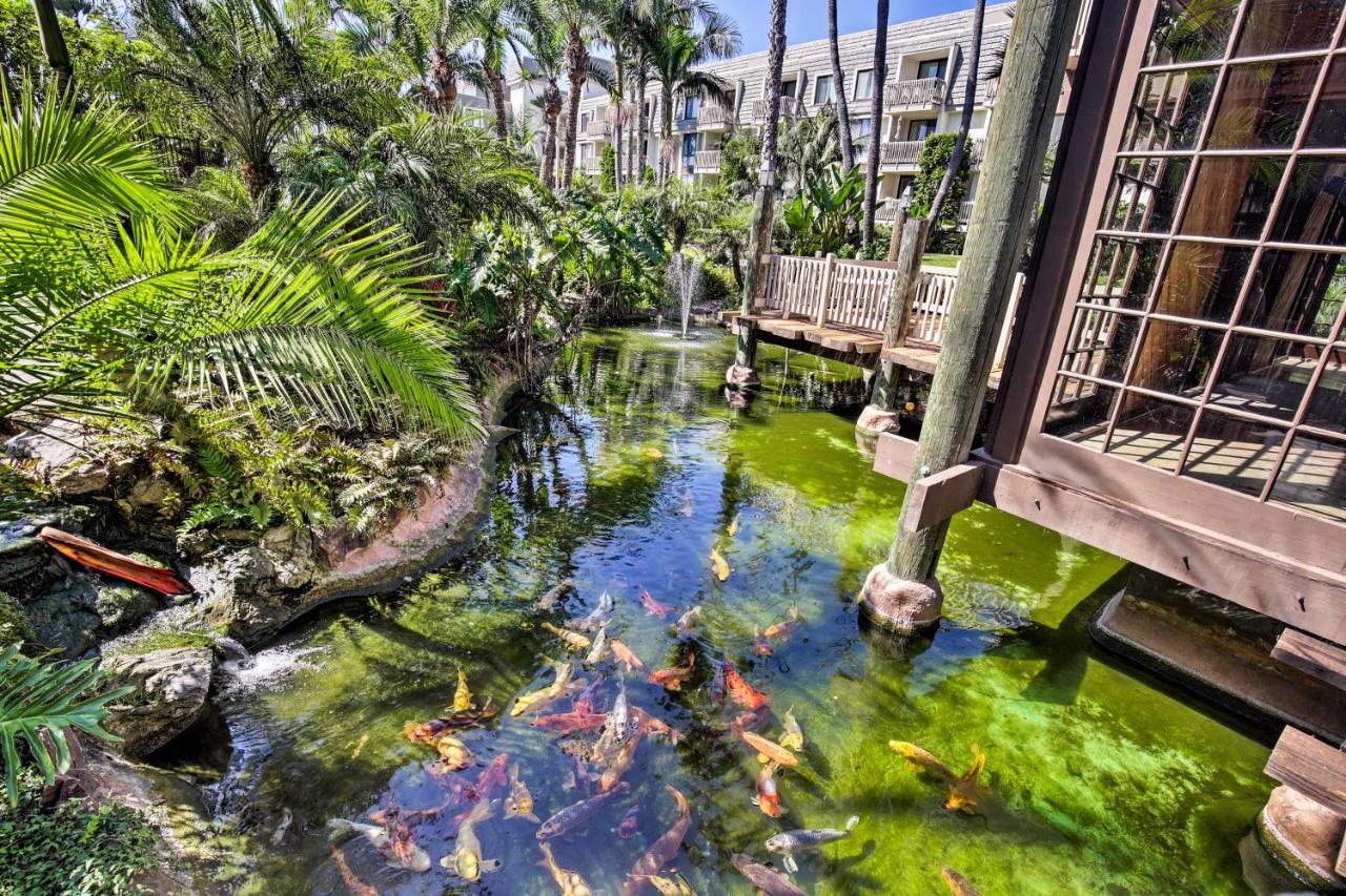 Beachfront Oceanside Condo With Pool And Hot Tub! מראה חיצוני תמונה